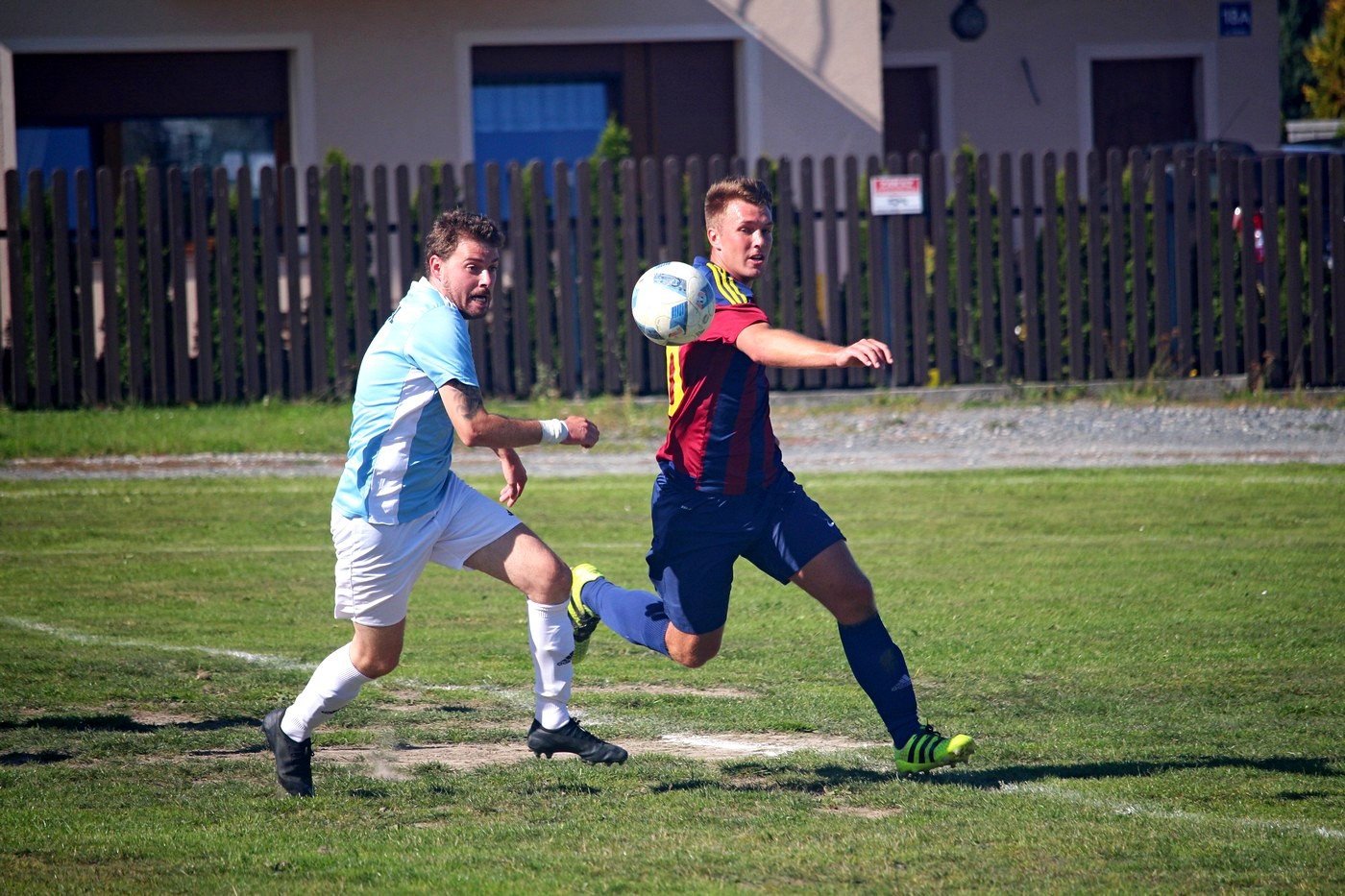 jelenia-gora-nie-dla-ora-83471