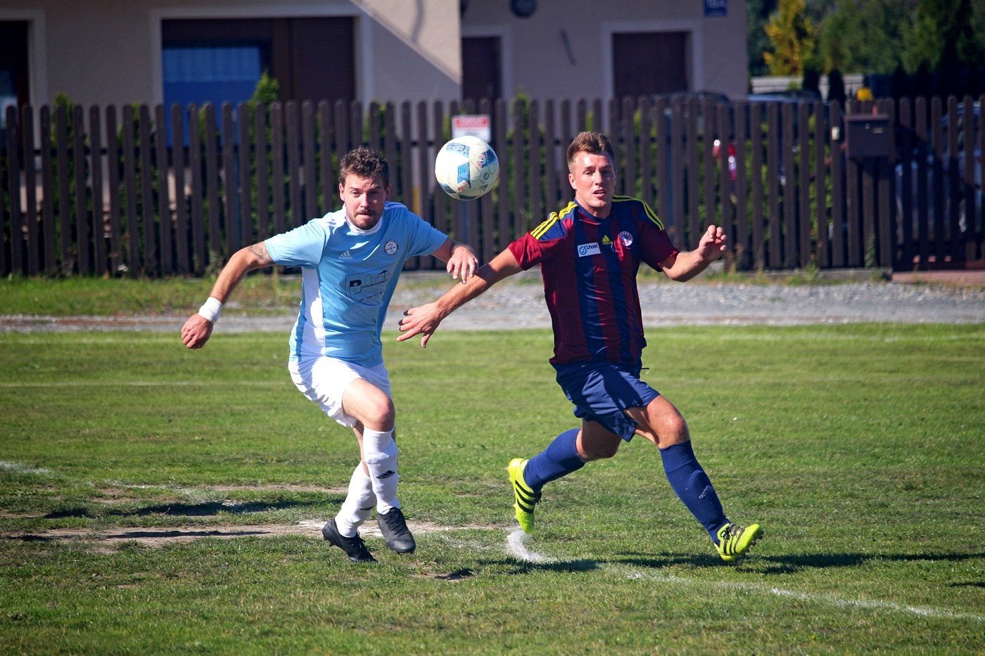 jelenia-gora-nie-dla-ora-83471