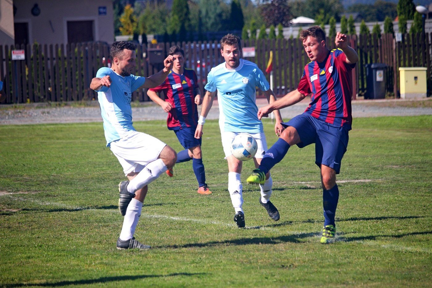 jelenia-gora-nie-dla-ora-83471