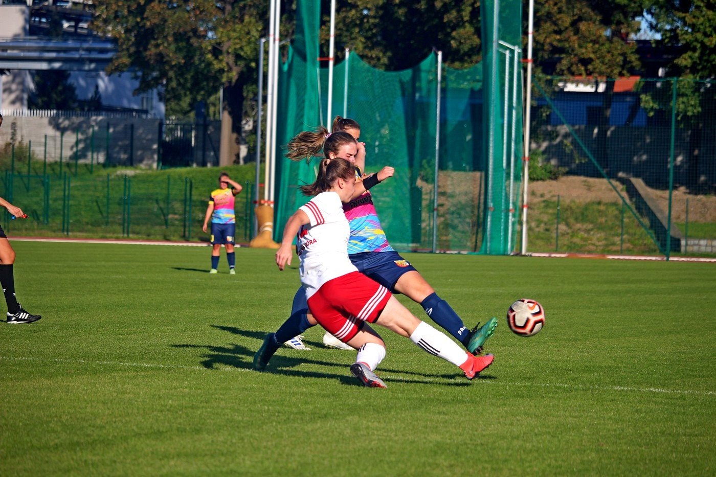 rolnik-pokona-orlika-83477