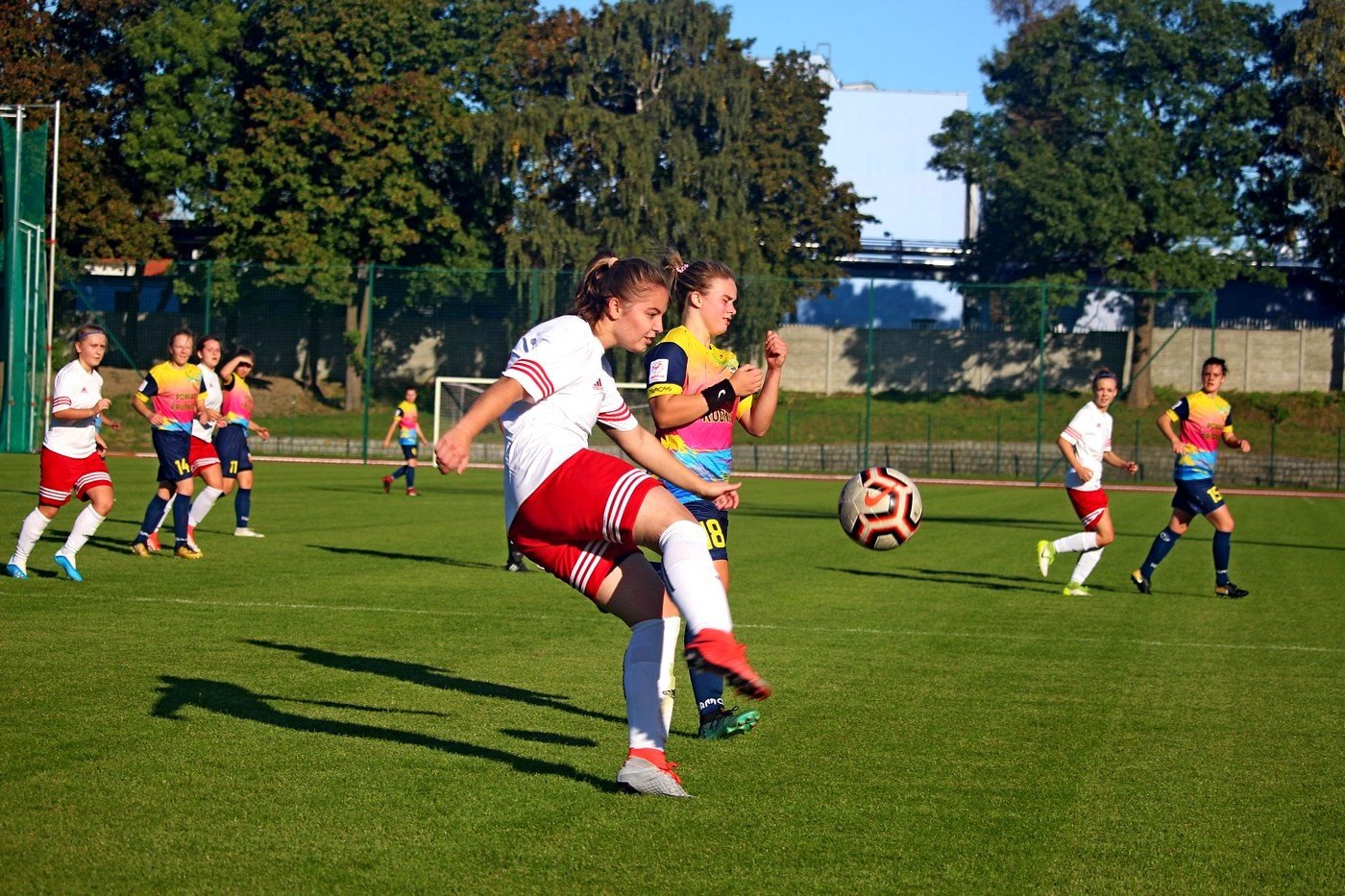 rolnik-pokona-orlika-83477