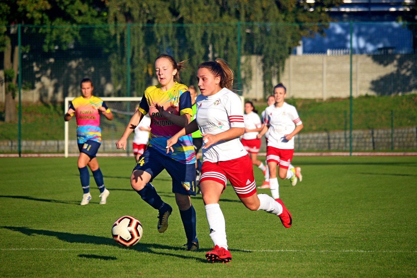 rolnik-pokona-orlika-83477