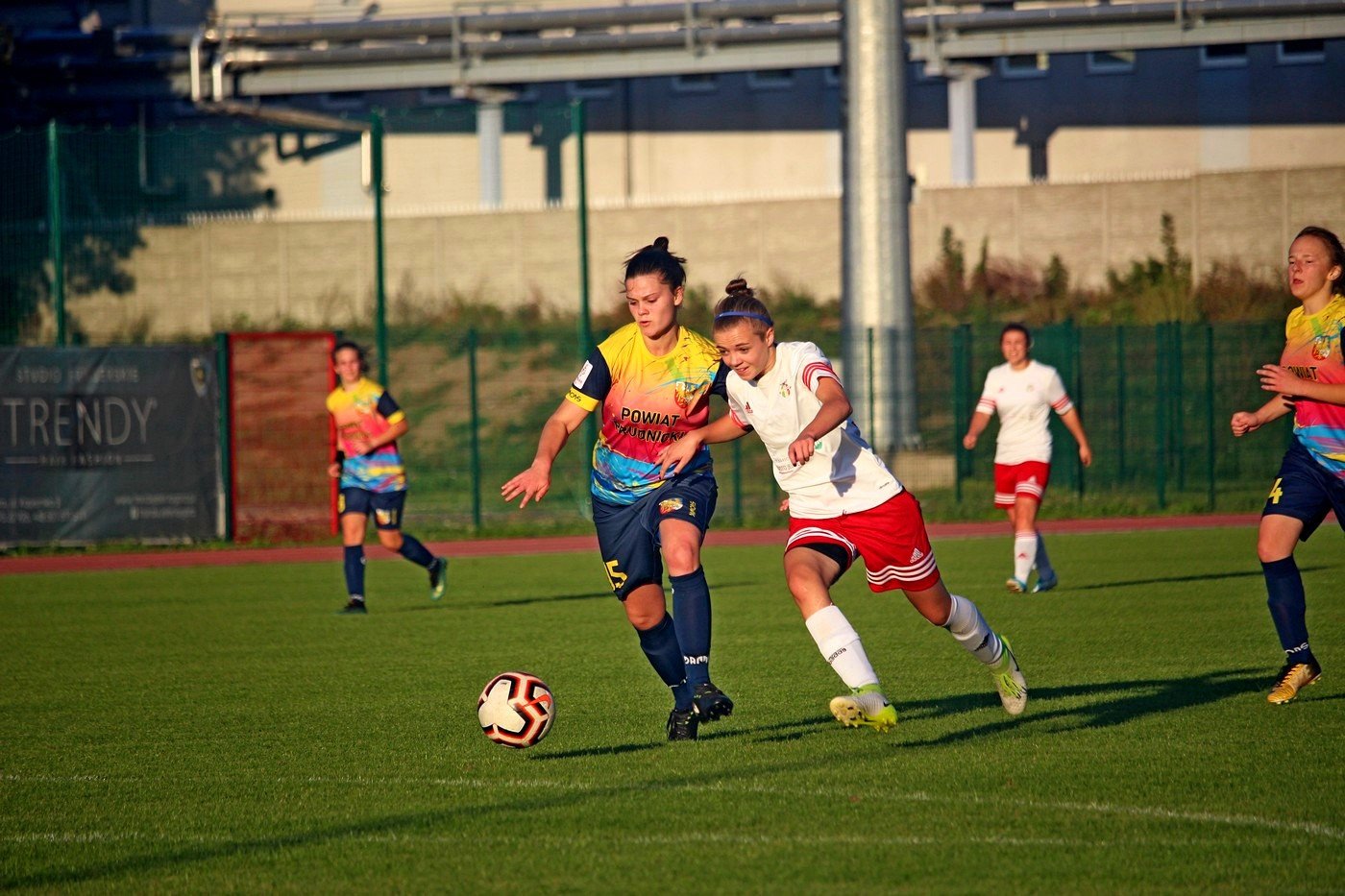 rolnik-pokona-orlika-83477
