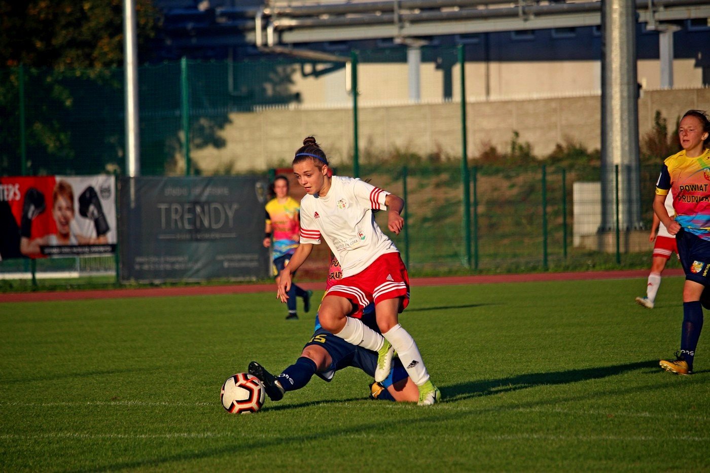 rolnik-pokona-orlika-83477