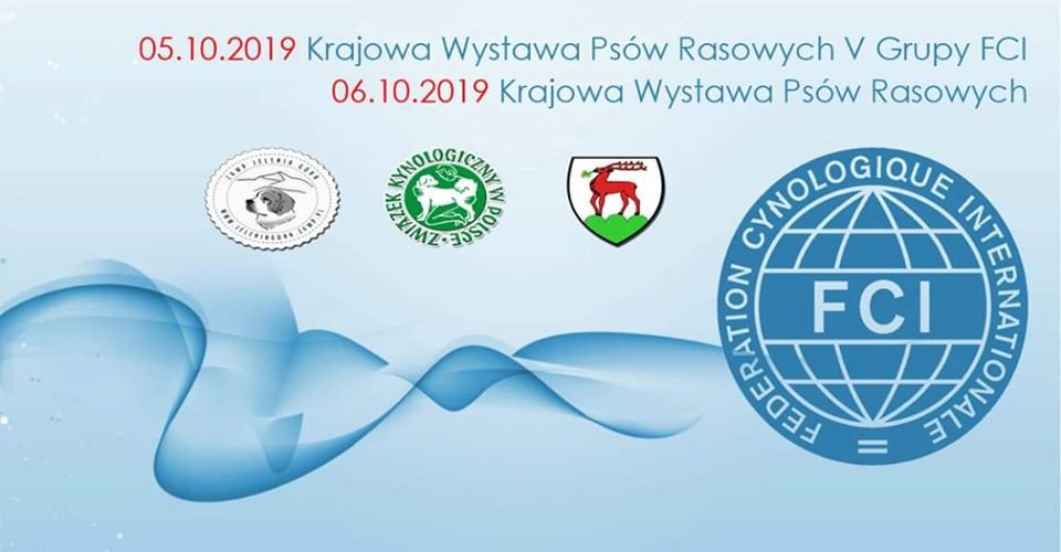 pazdziernikowe-wystawy-psow-83651