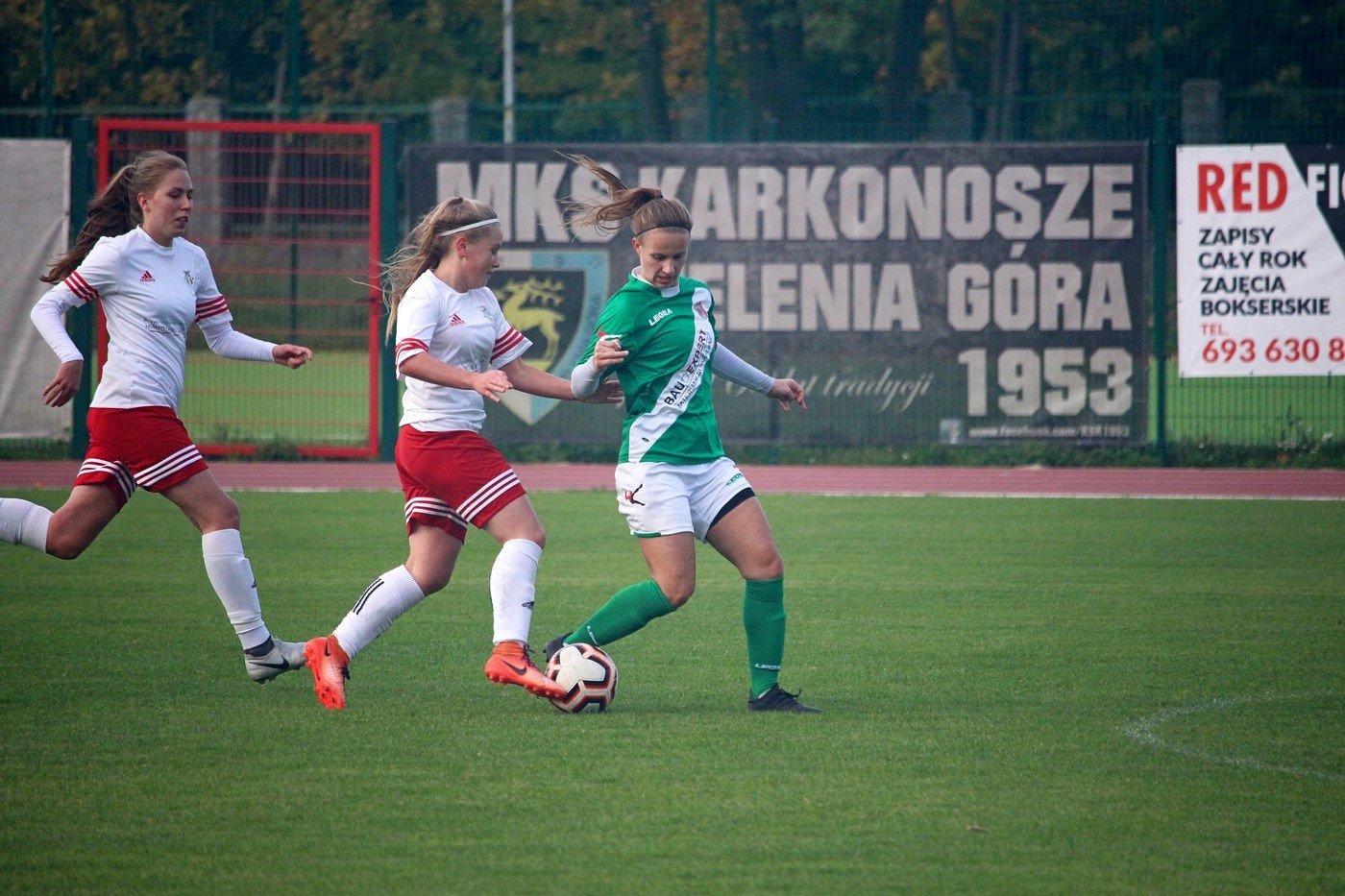 plon-skuteczniejszy-83696