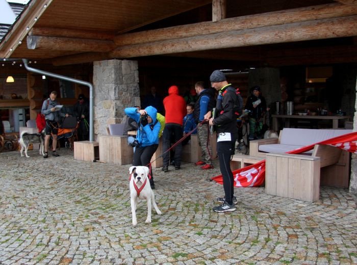 deszczowy-dogtrekking-83730