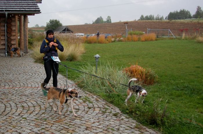 deszczowy-dogtrekking-83730