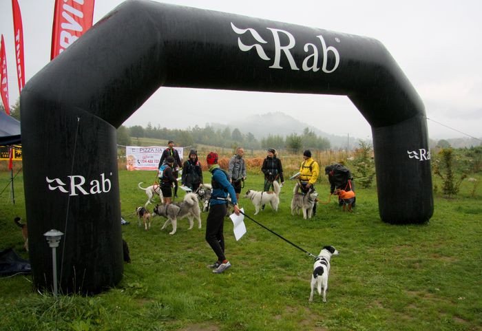 deszczowy-dogtrekking-83730