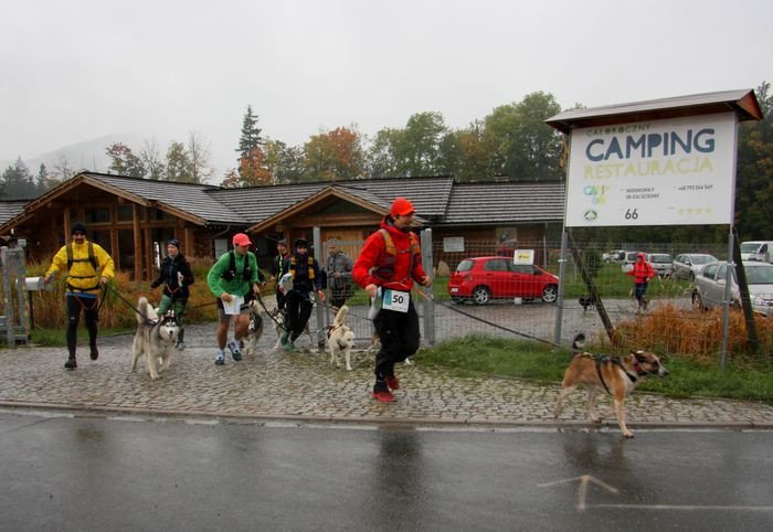 deszczowy-dogtrekking-83730