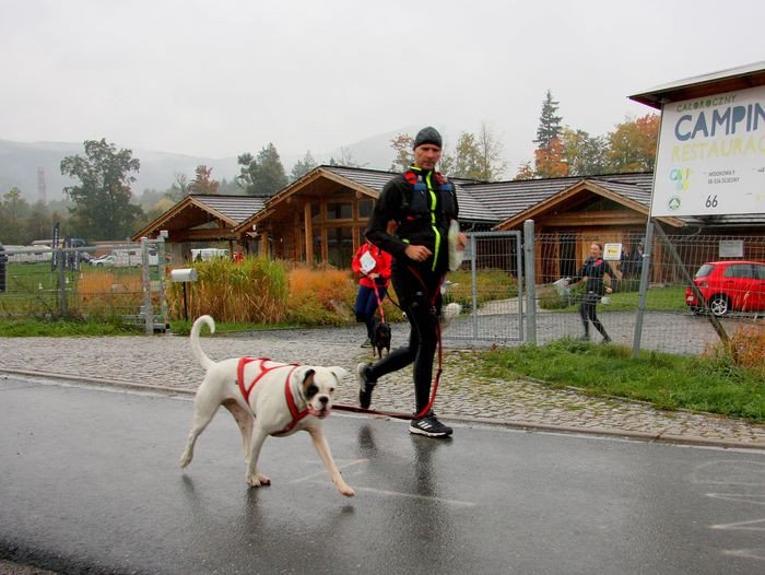deszczowy-dogtrekking-83730