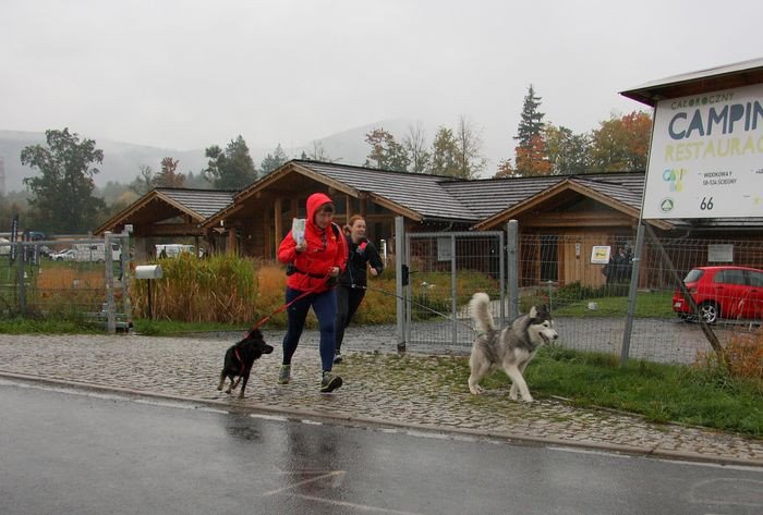 deszczowy-dogtrekking-83730