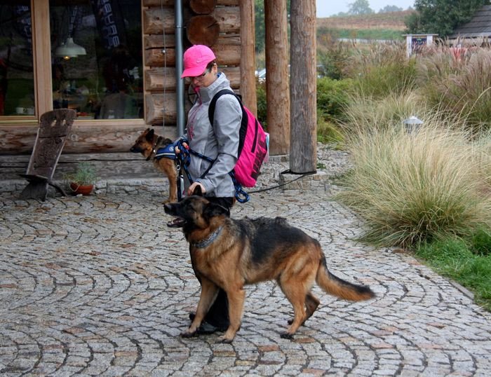 deszczowy-dogtrekking-83730
