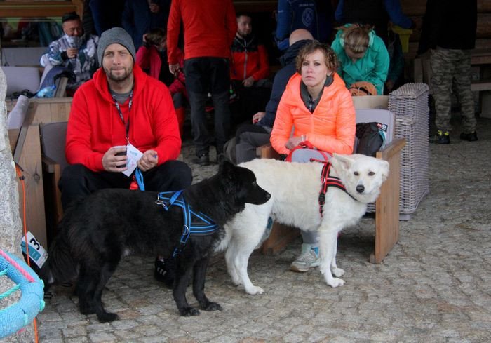 deszczowy-dogtrekking-83730