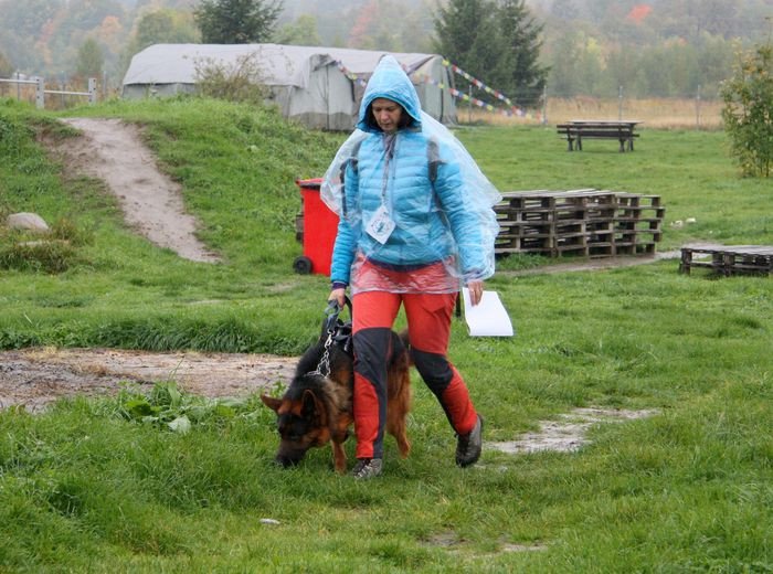 deszczowy-dogtrekking-83730
