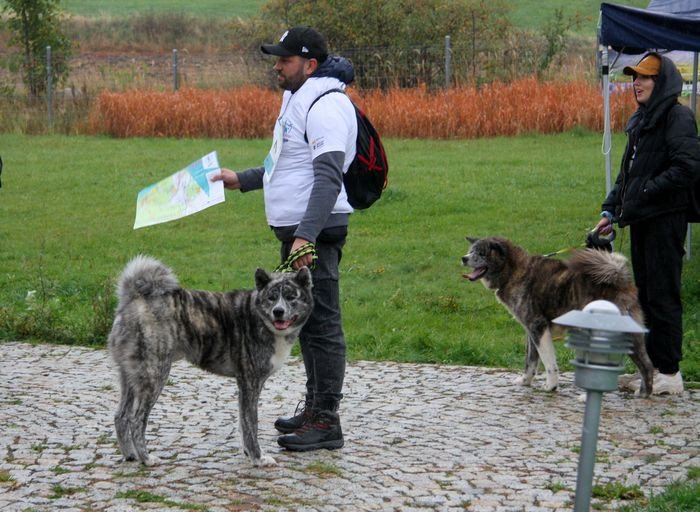 deszczowy-dogtrekking-83730