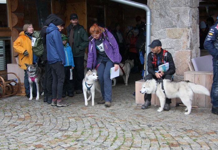 deszczowy-dogtrekking-83730