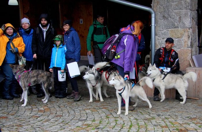 deszczowy-dogtrekking-83730