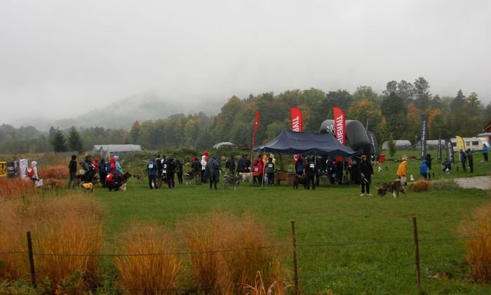 deszczowy-dogtrekking-83730
