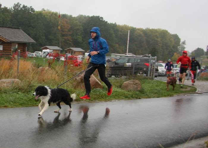 deszczowy-dogtrekking-83730