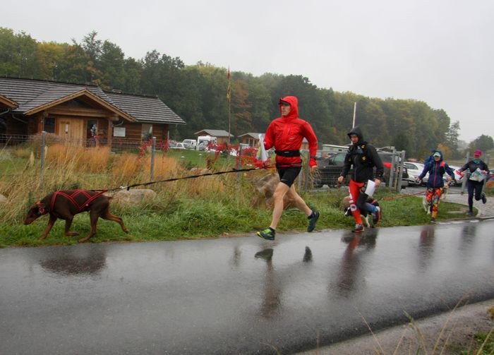 deszczowy-dogtrekking-83730