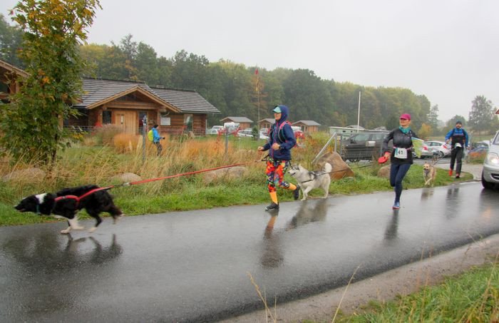 deszczowy-dogtrekking-83730