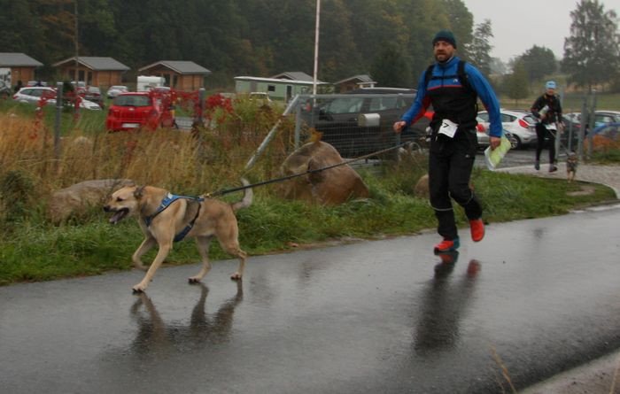 deszczowy-dogtrekking-83730