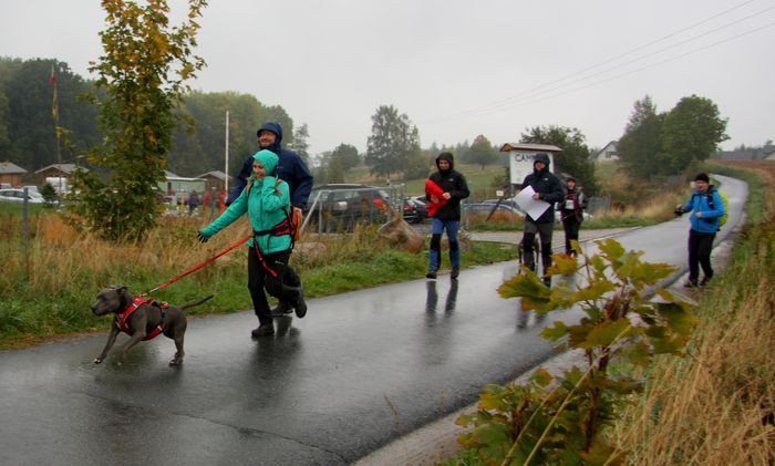 deszczowy-dogtrekking-83730