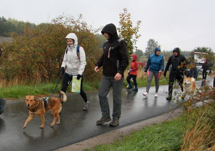 deszczowy-dogtrekking-83730