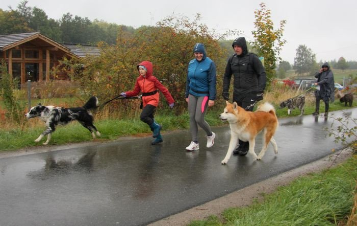 deszczowy-dogtrekking-83730