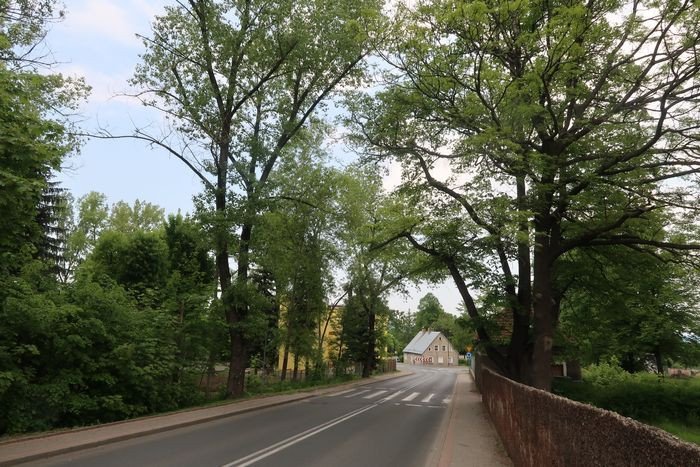 ciemno-i-niebezpiecznie-83747