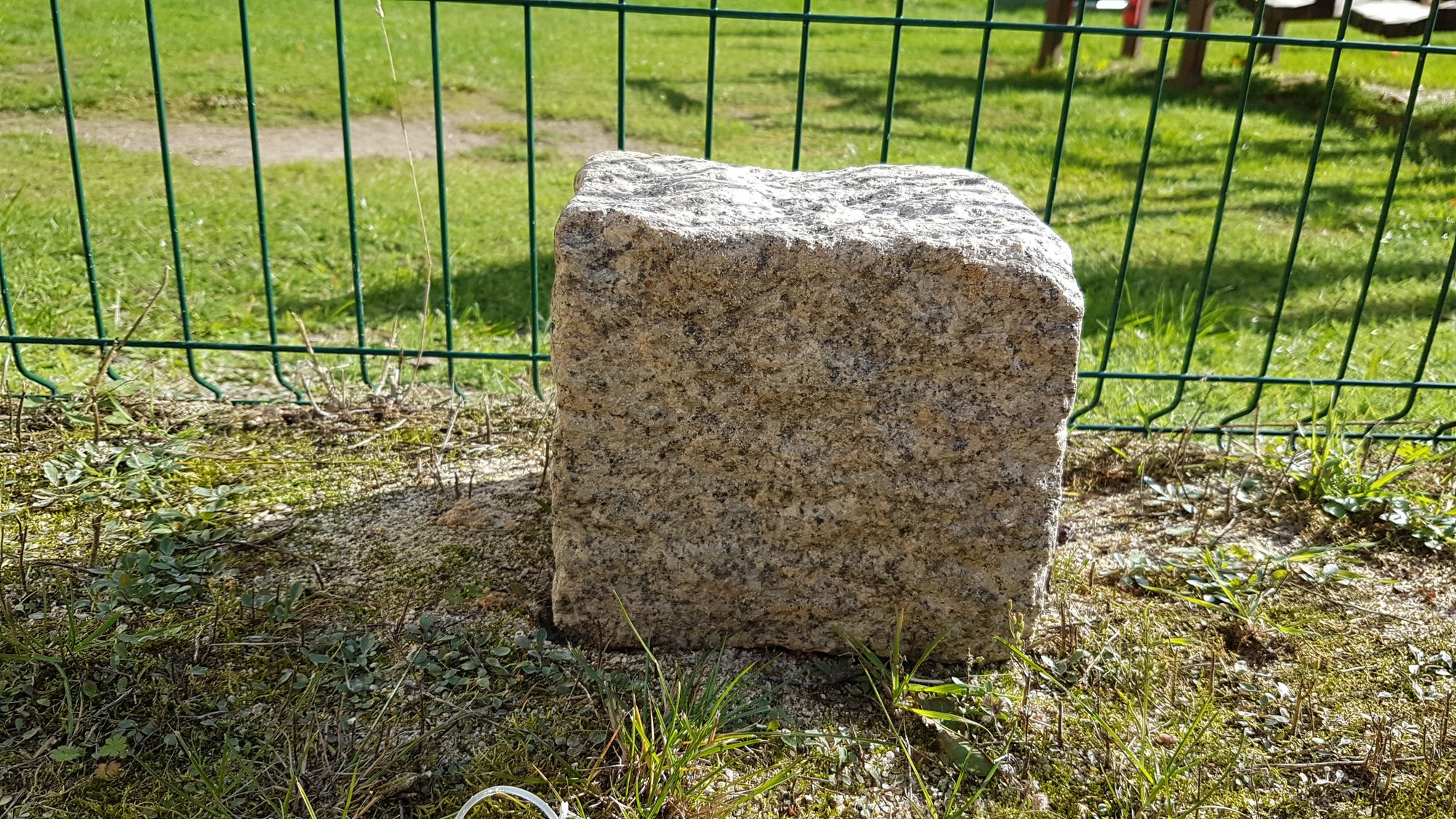geologiczne-znalezisko-w-piaskownicy-na-osiedlu-orlim-83769