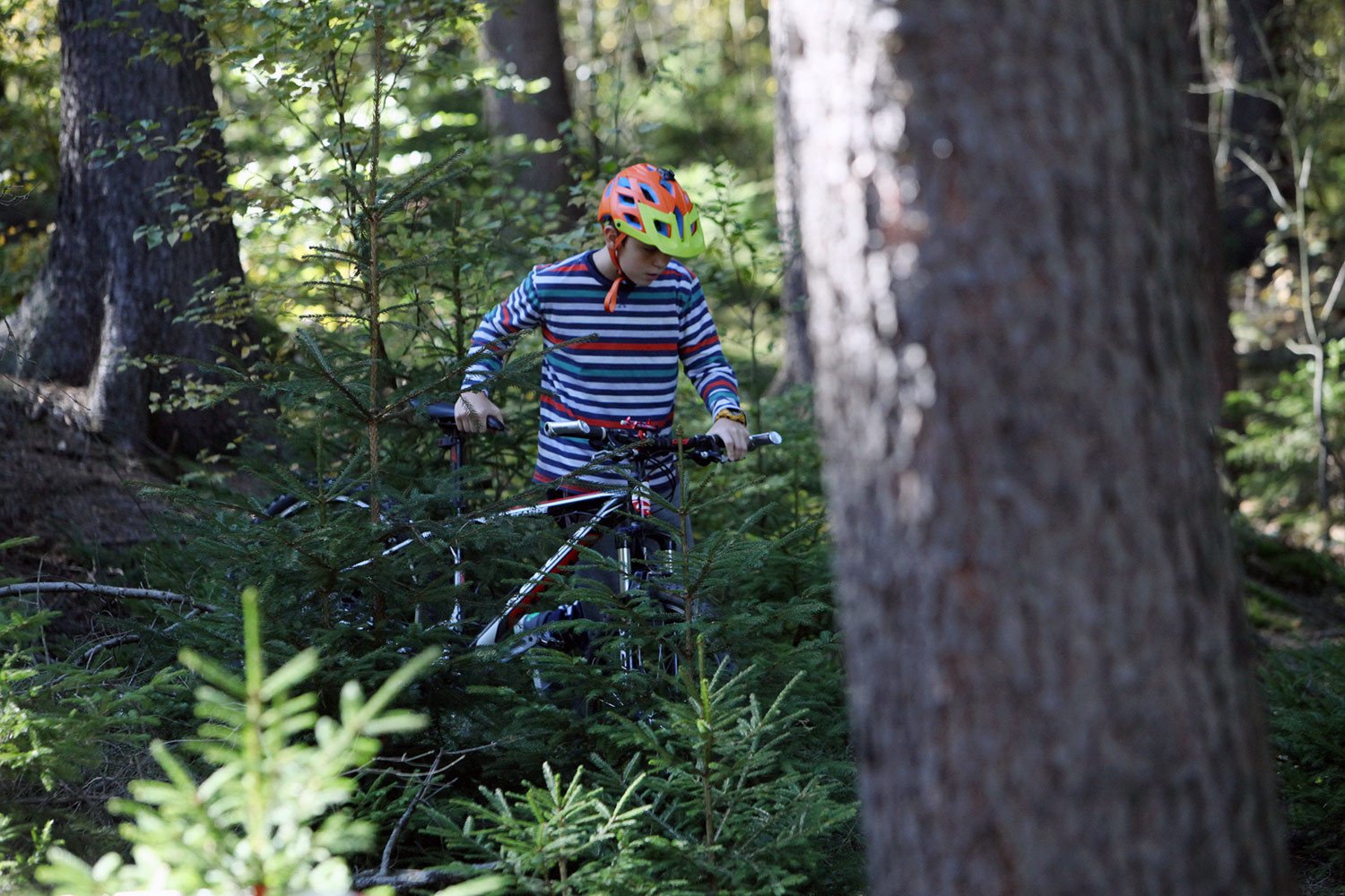 iv-mistrzostwa-czerwonego-pantofla-downhill-derby-83801