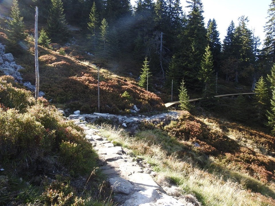 szlak-do-odrodzenia-jest-juz-po-remoncie-83812