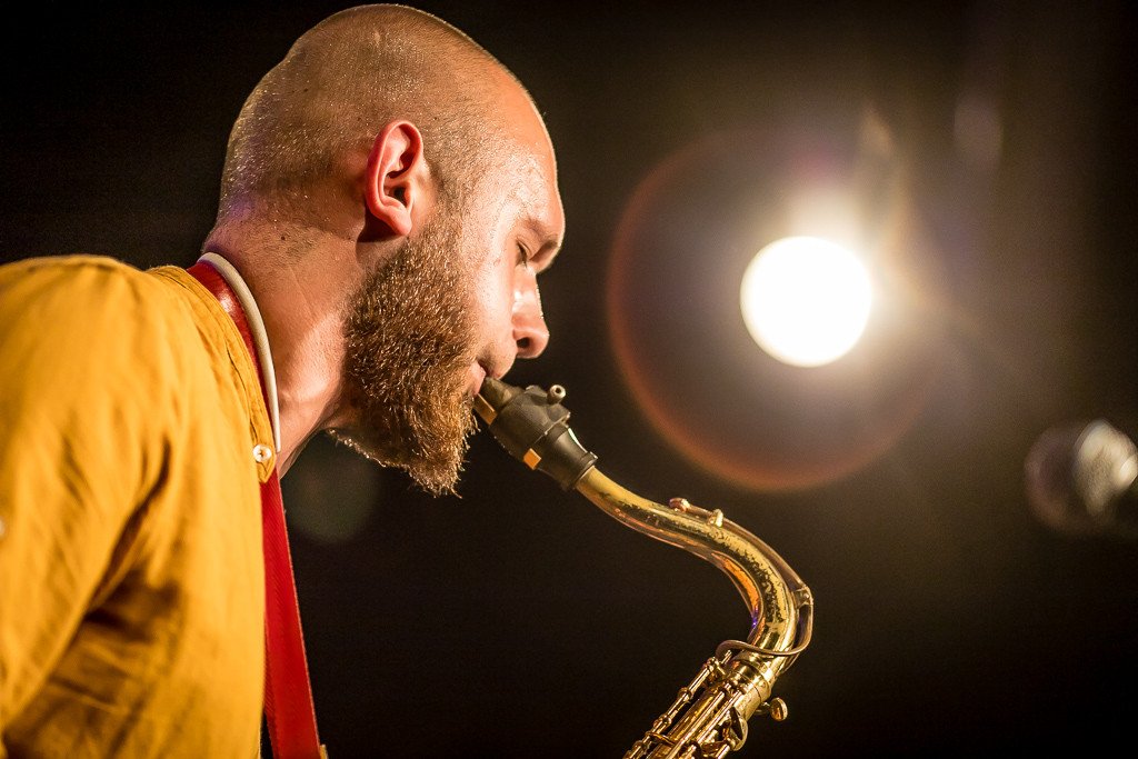 modzi-jazzmani-walcza-o-krokusa-83923
