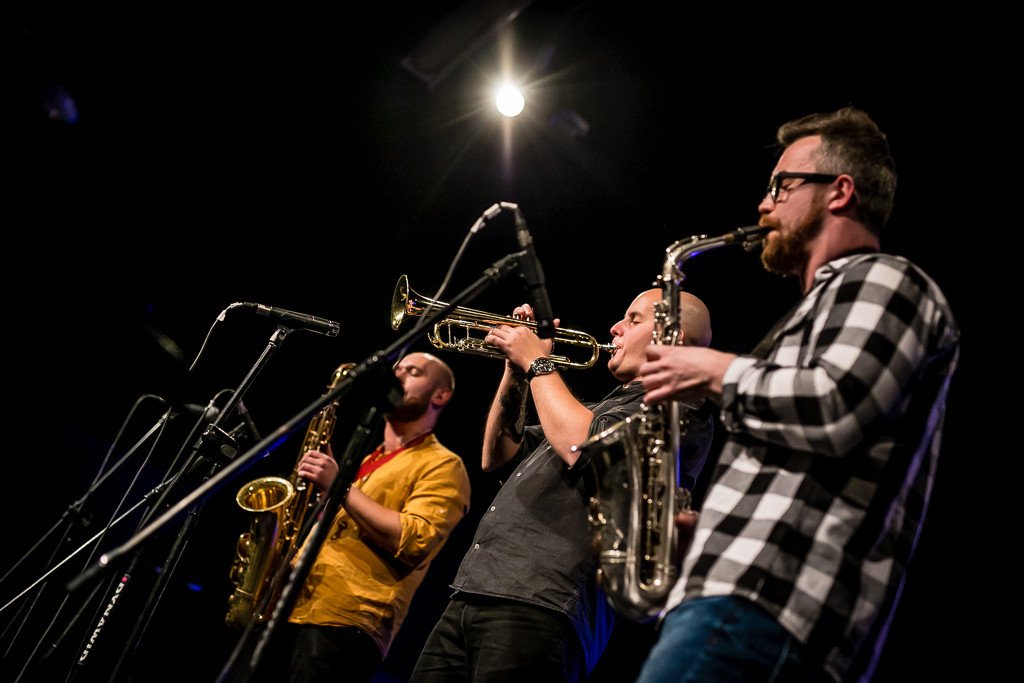 modzi-jazzmani-walcza-o-krokusa-83923