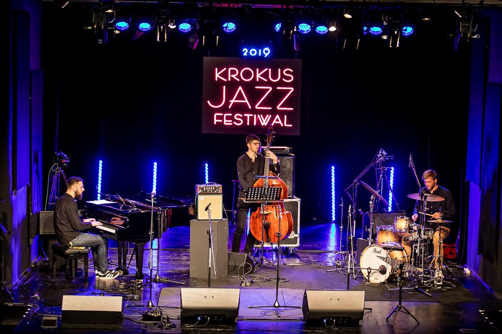 modzi-jazzmani-walcza-o-krokusa-83923