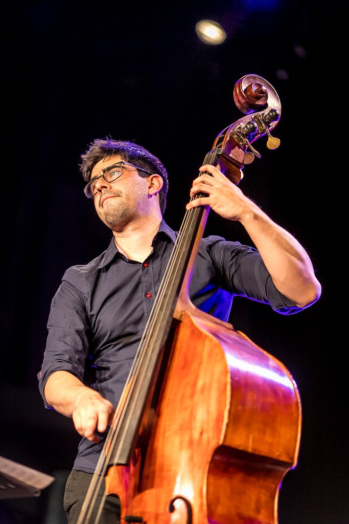 modzi-jazzmani-walcza-o-krokusa-83923