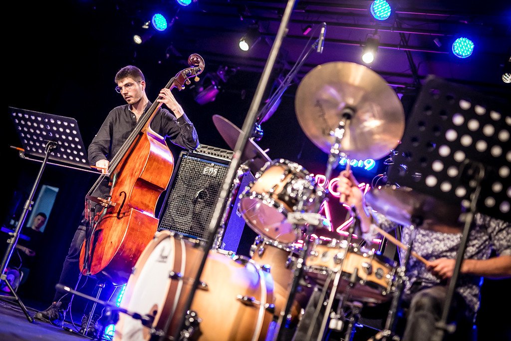 modzi-jazzmani-walcza-o-krokusa-83923