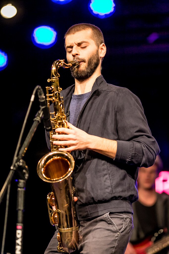 modzi-jazzmani-walcza-o-krokusa-83923