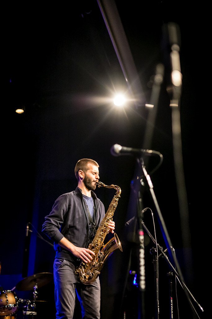modzi-jazzmani-walcza-o-krokusa-83923