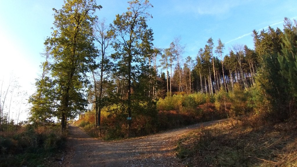 zagapisz-sie-84008