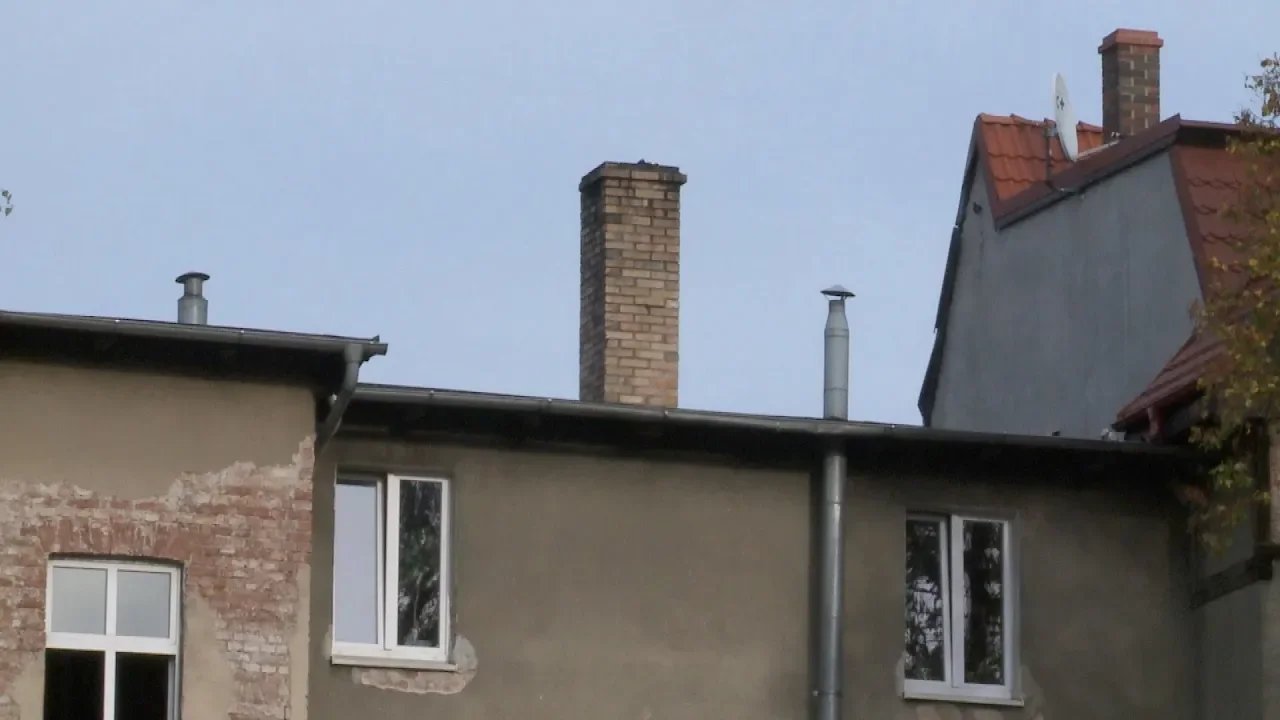 straznicy-miejscy-wznowili-kontrole-84019