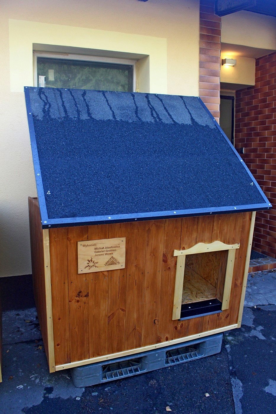 prezent-od-wrazliwej-modziezy-84073