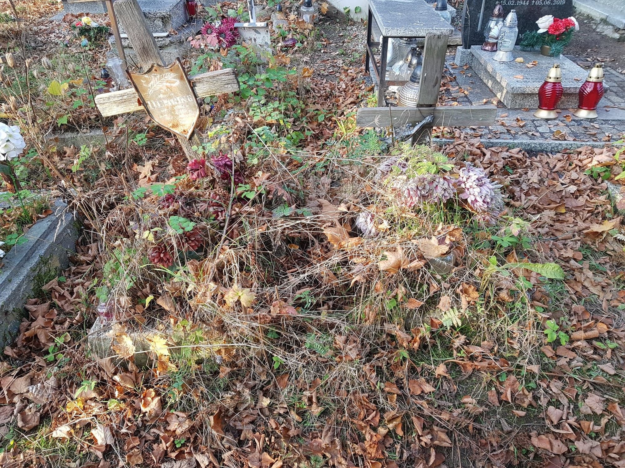 szczytna-tradycja-bursy-szkolnej-nr-1-84077