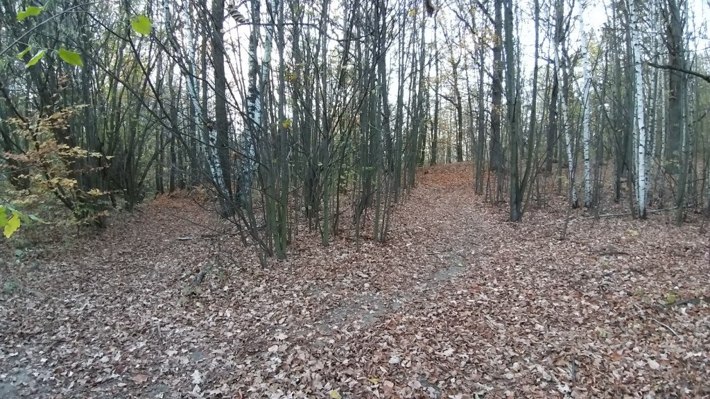 krzyzowa-gora-albo-spacer-w-kotlinie-84114
