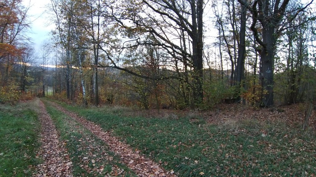 krzyzowa-gora-albo-spacer-w-kotlinie-84114