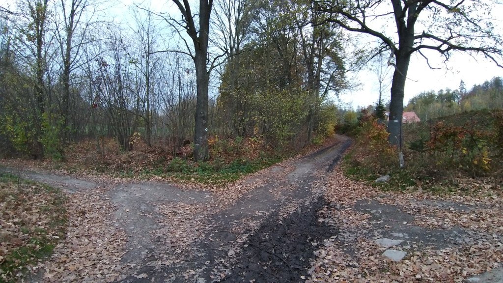 krzyzowa-gora-albo-spacer-w-kotlinie-84114
