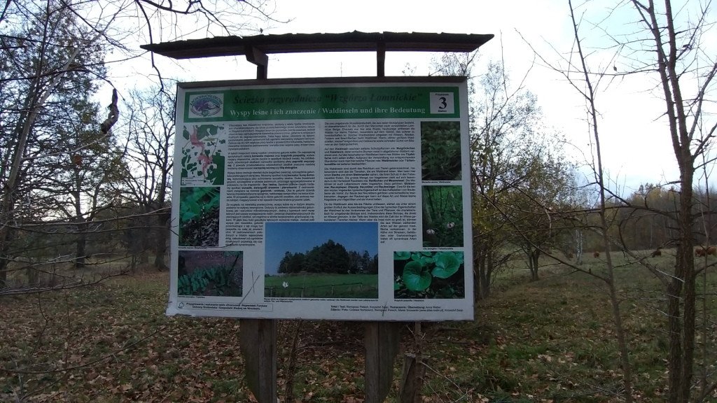 krzyzowa-gora-albo-spacer-w-kotlinie-84114