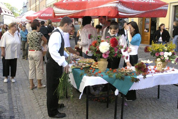 zarabiali-na-studniowke-8412